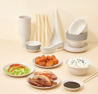 Ensemble de vaisselle en bambou blanc moderne de luxe de haute qualité, tasse, bol, cuillère, assiette, écologique, biodégradable, léger, jetable