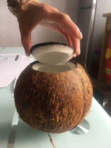 เครื่องตัดมะพร้าวแบบเร็ว Coconut Magic พร้อมเครื่องตัดเปลือกมะพร้าว ผู้จำหน่ายเครื่องตัดมะพร้าวที่ทรงพลัง - Product Image 6