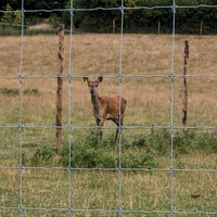 Clôture de ferme pour cerfs galvanisée à chaud à prix avantageux/clôture de ferme en métal
