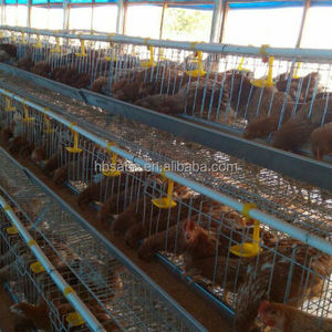 Vendita calda automatica gabbie per pollame di pollo a caldo zincato a basso costo a strati di uova gabbia di pollame fattoria Design gratuito - Product Image 4