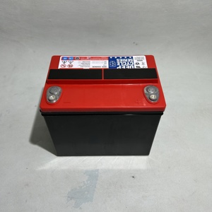 <span class=keywords><strong>Batterie</strong></span> de démarrage auxiliaire d'origine 12V33Ah sans entretien pour <span class=keywords><strong>Tesla</strong></span> <span class=keywords><strong>Model</strong></span> X 3 <span class=keywords><strong>S</strong></span> Y – Idéale pour les véhicules les plus vendus - Product Image 2