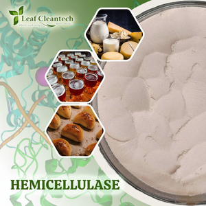 ผงเอนไซม์เฮมิเซลลูโลสเลสผลิตในอินเดีย - Product Image 1