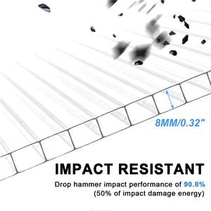 100% revêtement Anti-uv Laminas Policarbonato panneau 10mm 12mm Twinwall <span class=keywords><strong>alvéolaire</strong></span> <span class=keywords><strong>Polycarbonate</strong></span> feuille creuse - Product Image 2