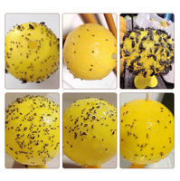 Vente en gros d'attrape-mouches des fruits attrape-insectes dans la cuisine utilisant une boule de piège collante