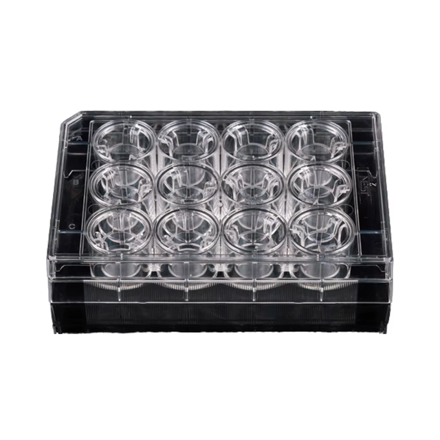 Disposable PC Membrane Transwell Cell Culture Inserts 12-Well Plates Flat Bottom Polystyrene Material Medical OEM Customizable