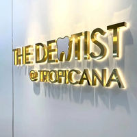 Letrero Luminoso de Acrílico 3D Personalizado, Logotipo de Pared Personalizado, Letrero de Canal 3D con LED para Publicidad en Centros Comerciales