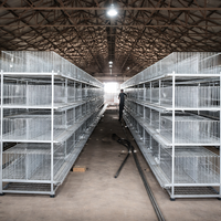 Système de cages automatiques pour poulets de chair, structure en H, acier galvanisé à chaud, 3-4 niveaux, alimentation, abreuvement, élimination du fumier, ferme avicole