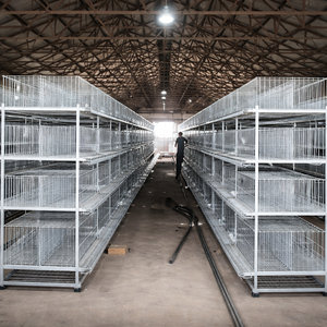 Sistema de Jaulas Automáticas para <span class=keywords><strong>Gallinas</strong></span> Ponedoras con Estructura en H, Acero Galvanizado en Caliente, 3-4 Niveles, Alimentación, Bebederos y Eliminación de Estiércol 160-256 - Product Image 3