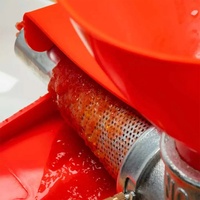 Draagbare Tomatenpers Mangopuree Extractor Fruitmachine