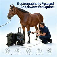 Máquina de Terapia de Ondas de Choque para Rehabilitación Animal, Dispositivo de Ondas de Choque Electromagnéticas Enfocadas para Aplicaciones Clínicas Veterinarias