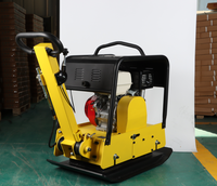 Compacteur à plaques durable Machine de construction légère 250KG à usage intensif Compacteur à plaques réversible à deux voies