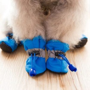 Promoção: Conjunto de Botas Impermeáveis Antiderrapantes de Sola Macia para Cães e Gatos de Pequeno Porte – Calçados para Animais de Estimação para Todas as Estações – Atacado - Product Image 2