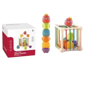 Großhandel pädagogische Spielzeuge für Kinder Form sortierer Kunststoff-Spielzeug Sinnesspielzeug für 6 Mütter Baby