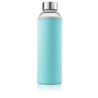 Bouteille d'Eau Sous Zéro 16 oz, en Verre, Anti-fuite avec Bouchon en Acier Inoxydable – Prix Usine