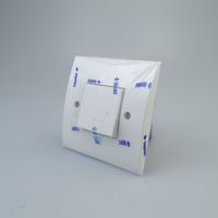 INGELEC Estándar DE LA UE 2 Gang 1 Way 2 Way Interruptor de luz de pared moderno Montaje en pared eléctrico Interruptor de botón doble 10A 250V