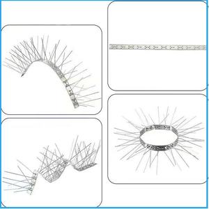 Dispositivo Anti-uccello in acciaio inossidabile da 50CM per unghie a punta di piccione per il controllo dei parassiti dei piccioni per eliminare il controllo degli insetti dei piccioni - Product Image 3