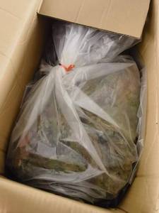Alimento para <span class=keywords><strong>Peces</strong></span> en Escamas Tricolor, Venta al por Mayor de Fábrica, Alimento para <span class=keywords><strong>Peces</strong></span> Ornamentales Tropicales para Guppy, Betta, Tetra - Product Image 6