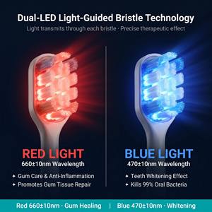 Spazzolino Elettrico Sonico LED Ricaricabile per la Cura delle Gengive Sensibili, 5 Modalità di Pulizia, Impermeabile IPX8, Batteria da 180 Giorni per Casa e Viaggio - Product Image 2