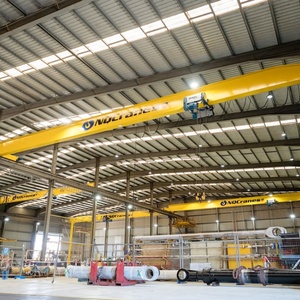 Grúa Puente Monoviga de Estilo Europeo para Taller con Polipasto Eléctrico Estándar FEM DIN y Certificación CE - Product Image 6