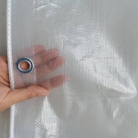 Film de remplacement en polyéthylène tissé (HDPE) transparent/clair de 12 mil, robuste, de marque, pour couvertures de serres, avec bords renforcés et coupés