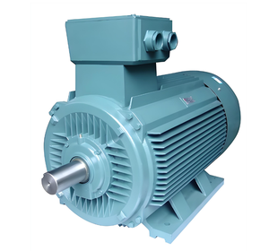 Moteur AC triphasé Weg de qualité supérieure pour convoyeurs Remium 2,2 kW 15 kW 50 Hz IE2 IE3 - Product Image 5
