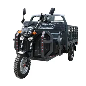 China triciclo elétrico de carga tripulado 2024 novo caminhão scooter personalizado frete para venda