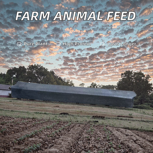 天然纤维丰富的干稻壳粉高蛋白玉米粉，适用于马、牛、猪、鱼、狗等动物饲料 - Product Image 2