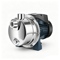 Pompe à jet auto-amorçante 25DN SS série JET 220V avec moteur 100% cuivre >1KW, surpresseur d'eau automatique pour maison et jardin