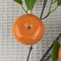 Echte oranje kunststof kunstfruittakken en nepbloemen voor woondecoratie in de woonkamer