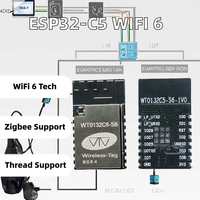 WT0132C5-S6 Esp32-C5 Tag nirkabel WiFi 6 modul dengan dukungan Ble benang Zigbee Gateway perangkat Iot berdasarkan Esp32 C5 IC
