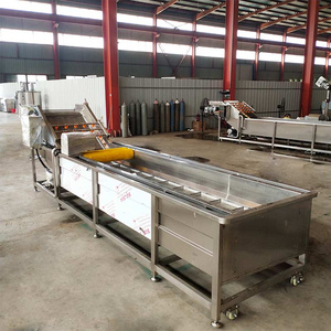 Máquina Profesional de Acero Inoxidable para Lavar y Pelar Uvas con Certificado CE, Capacidad de 200-1000 Kg/h, Potencia de 1.1KW - Product Image 5