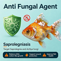 Agent antifongique aquatique : Réduit les maladies fongiques, améliore l'immunité des poissons, prévient la saprolegnie et la mycose des branchies, inhibiteur de moisissures
