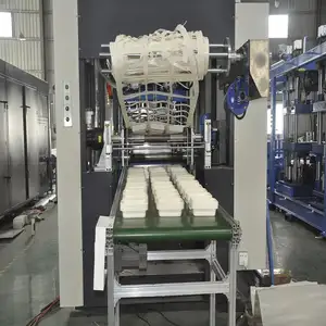 DM4-80 4 Station Automatic PET Plastic Packaging Tray Container Thermoforming Machine