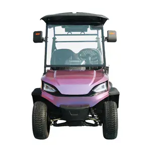 2+2 Seats Electric Lifted Golf Cart Hunting Car with Powerful 5KW AC Motor Controller Electric Golf Cart