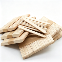 Bâtonnets de crème glacée en bois jetables, biodégradables, de qualité alimentaire, pour les fêtes, vente en gros