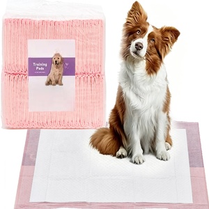 Offre Spéciale – Vente en Gros Usine – Alèses Jetables Imperméables pour Chiots et Chiens – Couches OEM pour l'Apprentissage de la Propreté et l'Absorption des Urines - Product Image 1