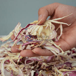 Continúa el cinturón de malla granja secador de cebolla de bulbo rojo máquina de secado de productos agrícolas línea de producción de cebolla deshidratada - Product Image 5