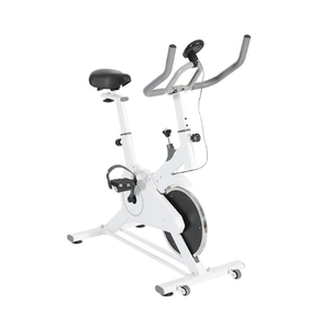 Mới Đến Trong Nhà Đi Xe Đạp Phòng Tập Thể Dục Xe Đạp Có Thể Điều Chỉnh 100Kg Công Suất Thép Làm Cardio Đào Tạo Cho Quay Xe Đạp - Product Image 4