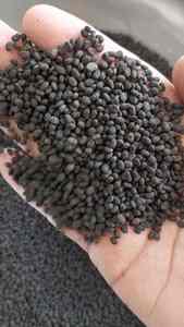 Graines de Bakuchi Naturelles (Psoralea Corylifolia) Qualité Alimentaire Biologique Vente en Gros à l'Exportation - Product Image 2