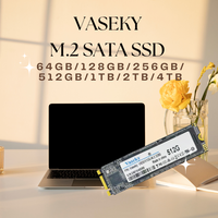 Vaseky Hard Disk M.2, Hard Disk Sata SSD 128gb 256GB 512GB 1TB 4TB untuk Desktop dan Laptop