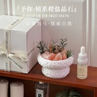 Diffuseur de parfum en pierre de sel de l'Himalaya naturel, minimaliste, frais et élégant, avec bol en cristal, pour chambre, bureau, relaxation, cadeau de vacances