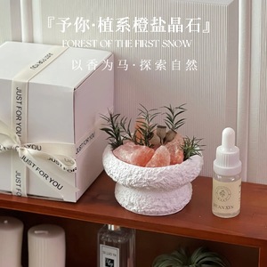 Minimal Fresh Elegant Natural Himalayan Salt Crystal <b>Reed</b> <b>Diffuser</b> Stone Bowl Aroma Set Bedroom Desk Relaxation Holiday Gifting - Product Image 2