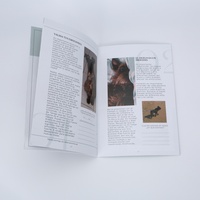 Impression de brochures, catalogues, dépliants A4 et flyers personnalisés à bas prix sur papier offset/carton avec vernissage