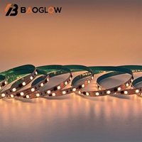 Bande LED à télécommande, programmable par pixels, RGB 5050, multicolore, 12V 24V, adressable individuellement, flexible, bandes LED lumineuses