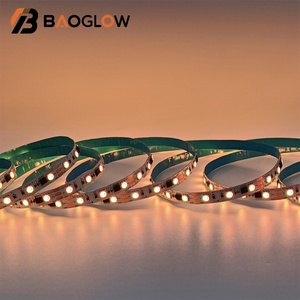 Tira de Luces LED RGB 5050 Multicolor Programable por Control Remoto, 12V 24V, Direccionable Individualmente, Flexible - Product Image 5