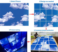 Les plafonniers enfoncés adaptés aux besoins du client de panneau de lucarne ont mené le ciel léger de panneau, panneau artificiel de lucarne de Led
