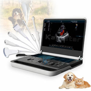 Equipo <span class=keywords><strong>de</strong></span> Ultrasonido Animal <span class=keywords><strong>de</strong></span> Alta Calidad para Clínica Veterinaria y Granja, Dispositivo <span class=keywords><strong>de</strong></span> Ultrasonido - Product Image 1