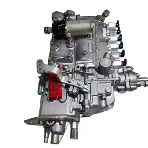 Cummins QSB5 9 6BT Motor-Kraftstoff-Injektionspumpe 4063844 4063845 Neuer Zustand für Baggermotor