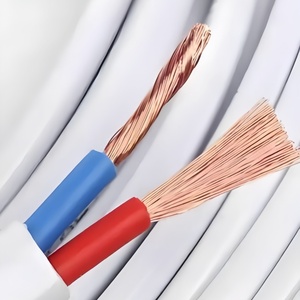 Гибкий плоский параллельный двухжильный электрический кабель и провод из поливинилхлорида для трансграничных поставок - Product Image 1