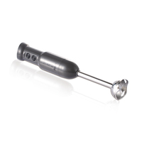 Bâton de mélangeur de cuisine à main RAF 15000 tr/min 300w pour soupe Smoothie purée lames en acier inoxydable mélangeur de nourriture pour bébé avec sans BPA